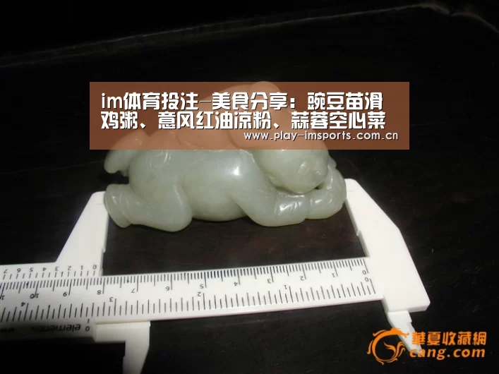 im体育投注-美食分享:豌豆苗滑鸡粥、意风红油凉粉、蒜蓉空心菜苗的做法(图1) im体育投注