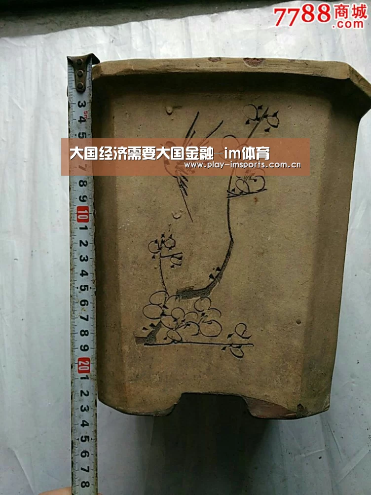大国经济需要大国金融-im体育(图3) im体育投注